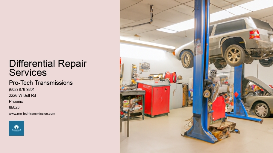 Differential Repair Services